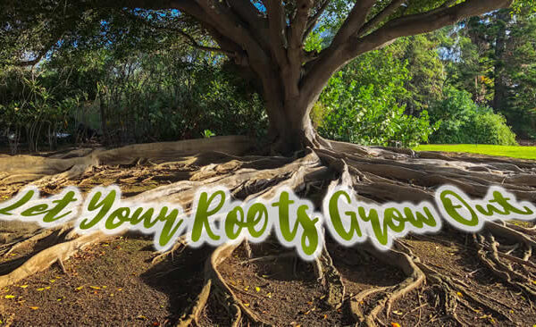 Let Your Roots Grow Out